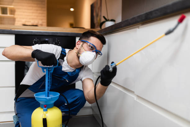 Best Cockroach Control Services  in Collinwood, TN