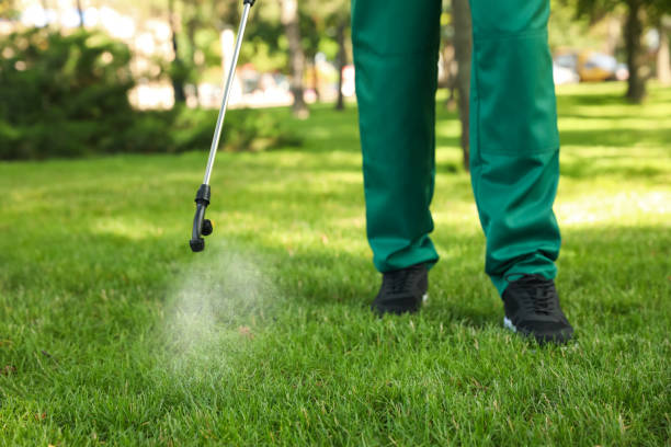 Best Pest Control for Homes  in Collinwood, TN