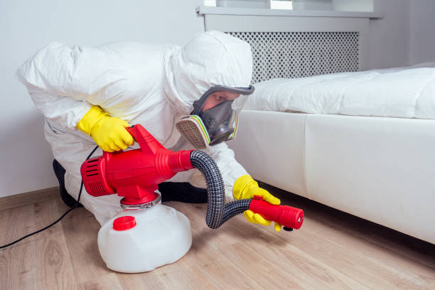 Best Insect Control  in Collinwood, TN