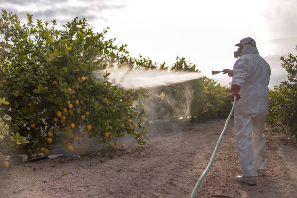 Best Commercial Pest Control Services  in Collinwood, TN