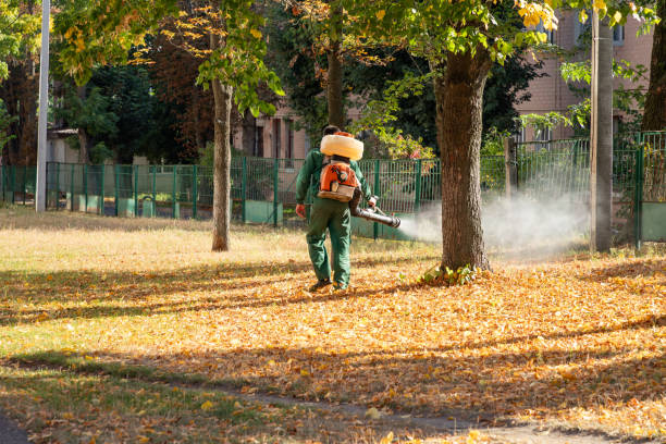 Reliable Collinwood, TN Pest Control Solutions