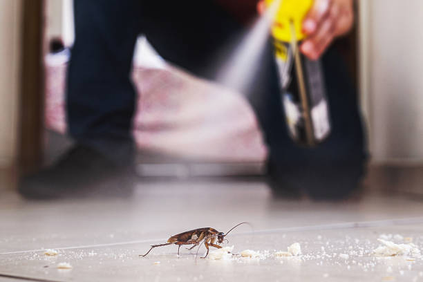 Insect Control in Collinwood, TN