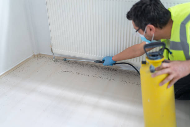 Best Wasp Removal Services  in Collinwood, TN