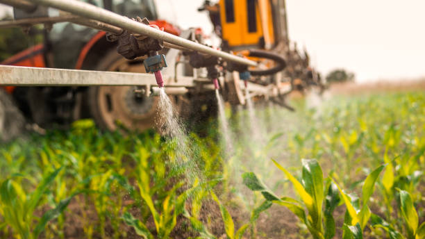 Best Mosquito Control Services  in Collinwood, TN
