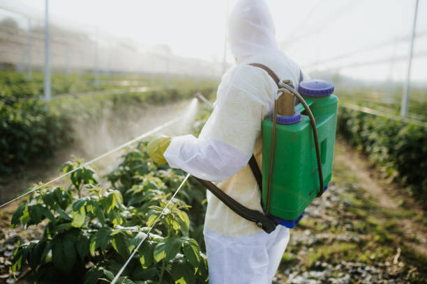 Wildlife Control Services in Collinwood, TN